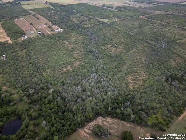 Image 11 of 38 For 558 Ramos Ln