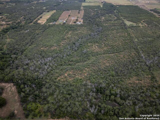 Image 9 of 38 For 558 Ramos Ln