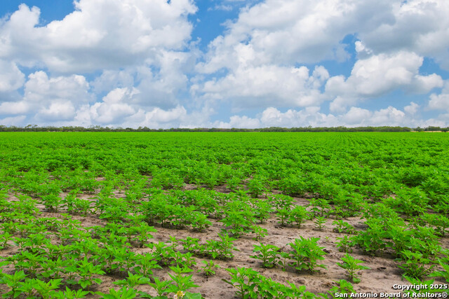 Image 3 of 8 For Tbd Hwy 281 N