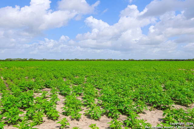 Image 5 of 8 For Tbd Hwy 281 N