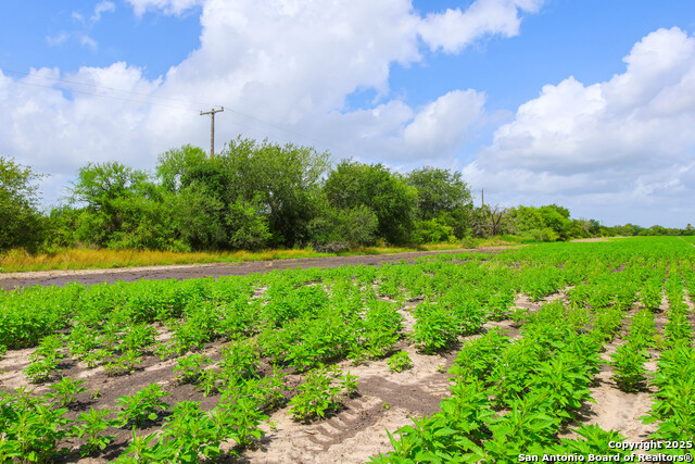 Image 6 of 8 For Tbd Hwy 281 N