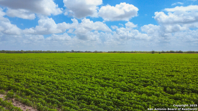 Image 7 of 8 For Tbd Hwy 281 N