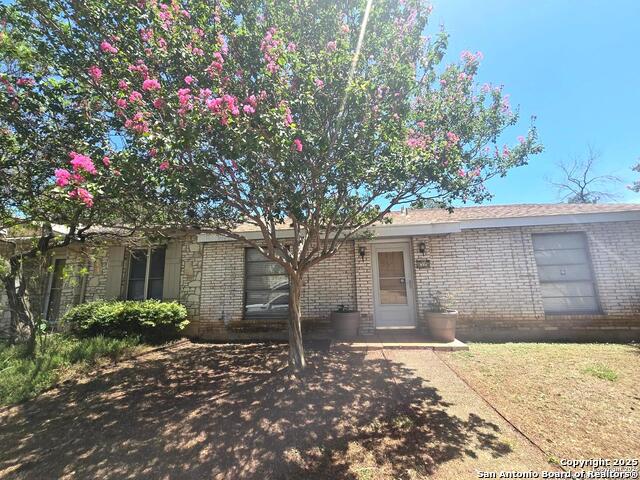 Details for 6508 Honey Hill, San Antonio, TX 78229