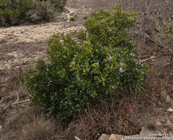 Image 7 of 24 For Lot 75a High Point Ranch