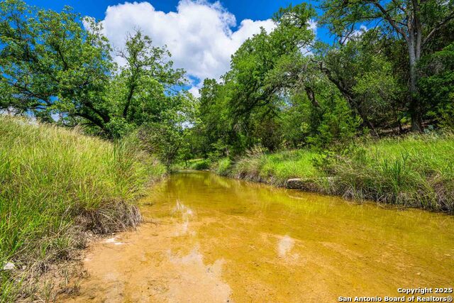 Listing photo id 17 for 8 Cypress Creek Rd