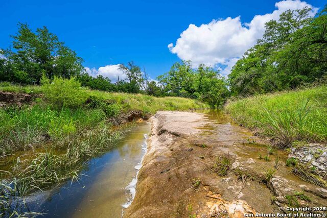 Listing photo id 20 for 8 Cypress Creek Rd