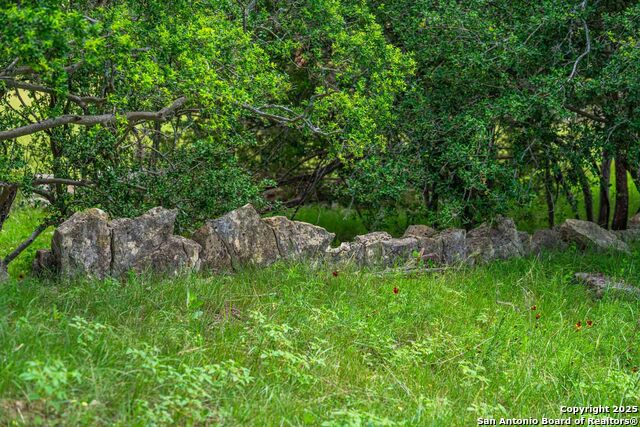 Listing photo id 21 for 8 Cypress Creek Rd