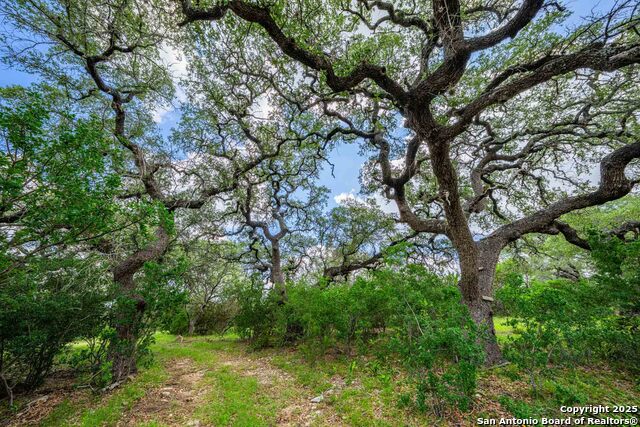 Listing photo id 22 for 8 Cypress Creek Rd