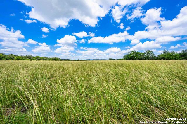 Listing photo id 24 for 8 Cypress Creek Rd