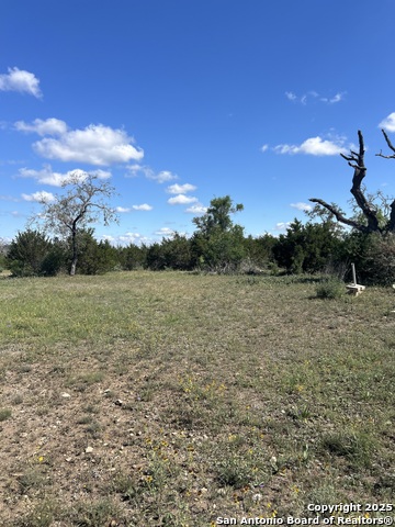 Image 3 of 5 For 1754 Lakeshore Dr N