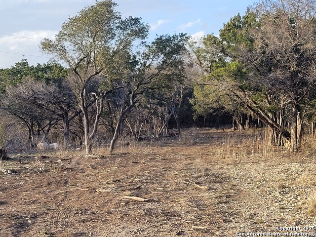 Image 7 of 12 For 308 Elm Pass