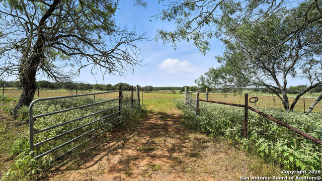 Image 6 of 51 For 129 County Road 442