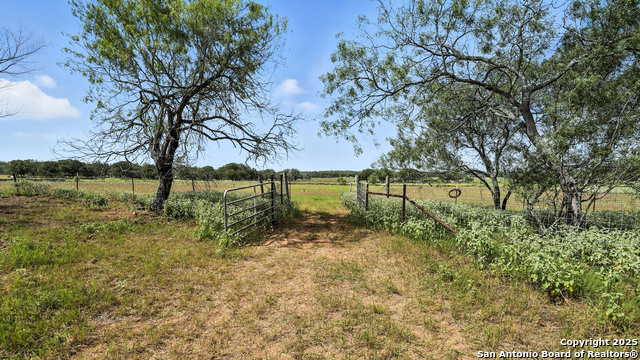 Image 7 of 51 For 129 County Road 442