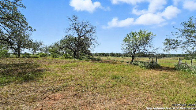 Image 8 of 51 For 129 County Road 442
