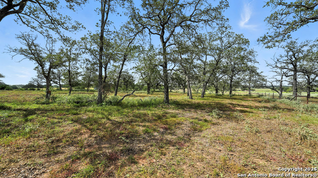 Image 9 of 51 For 129 County Road 442