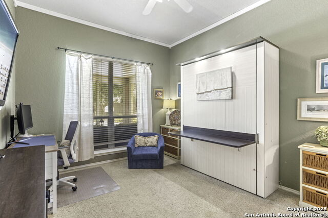 Image 16 of 35 For 5103 Sagail Place