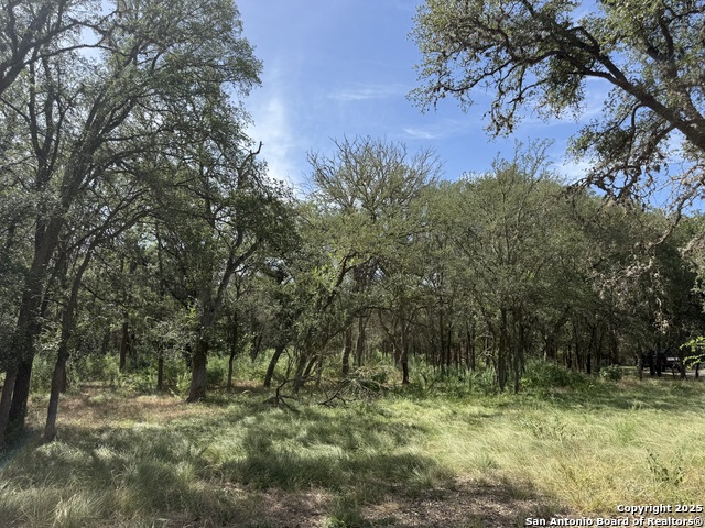 Image 2 of 16 For 8403 Wild Wind Park