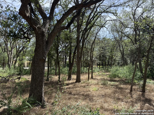 Image 6 of 16 For 8403 Wild Wind Park