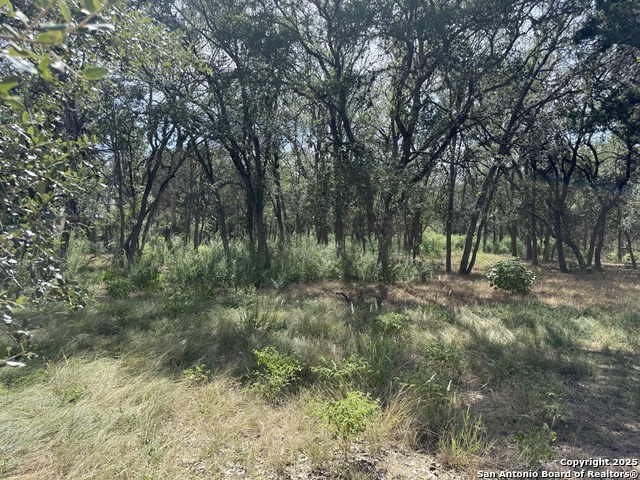 Image 9 of 16 For 8403 Wild Wind Park