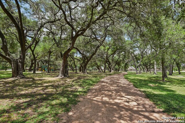 Listing photo id 49 for 8801 Canopy Bnd