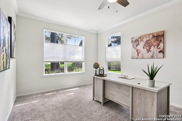 Listing photo id 7 for 8801 Canopy Bnd