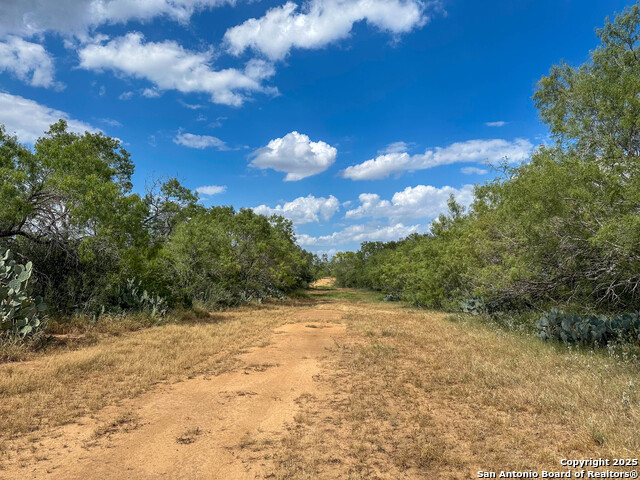 Image 42 of 51 For 6451 Bluntzer Rd