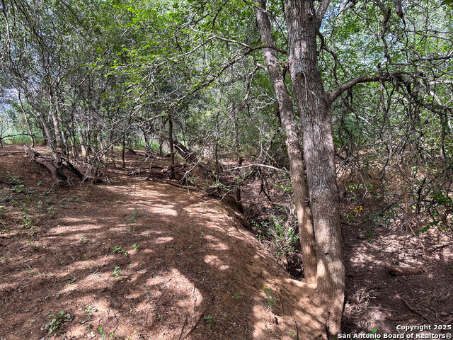 Image 44 of 51 For 6451 Bluntzer Rd