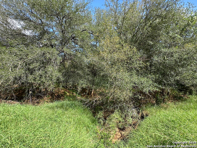 Image 45 of 51 For 6451 Bluntzer Rd