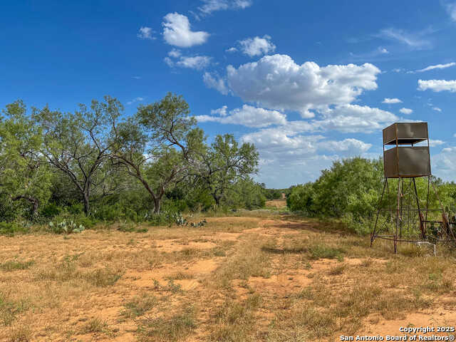 Image 48 of 51 For 6451 Bluntzer Rd
