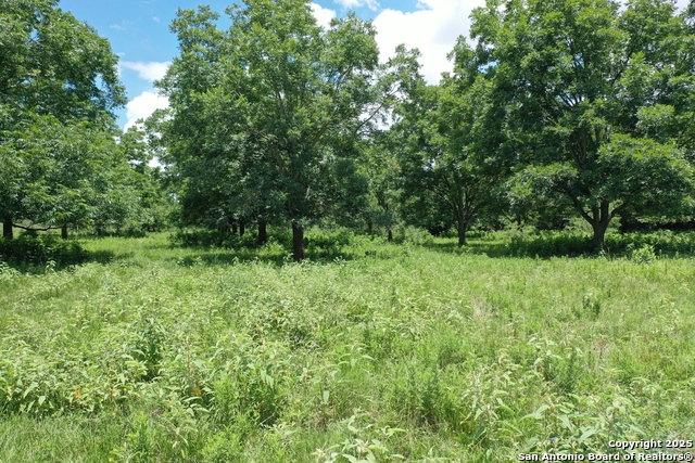 Listing photo id 12 for 0 County Rd 240