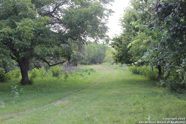 Listing photo id 14 for 0 County Rd 240