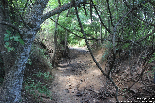 Listing photo id 15 for 0 County Rd 240