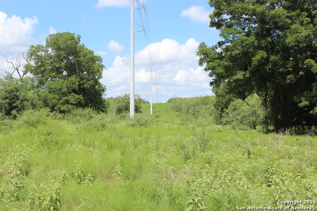 Listing photo id 16 for 0 County Rd 240