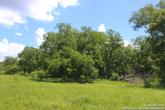 Listing photo id 19 for 0 County Rd 240