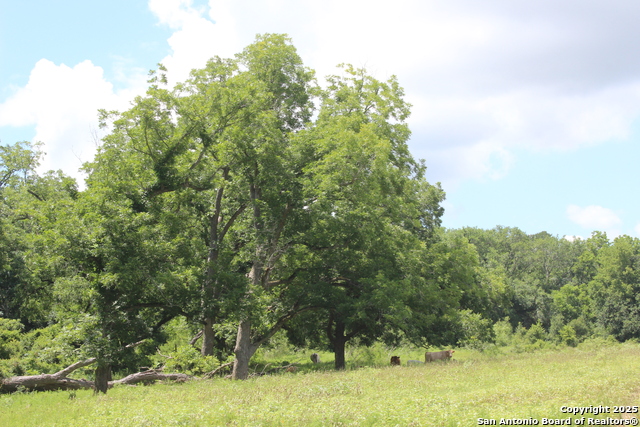 Listing photo id 20 for 0 County Rd 240