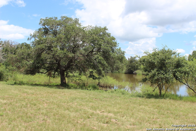 Listing photo id 22 for 0 County Rd 240