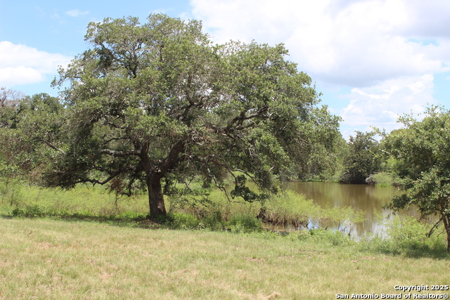 Listing photo id 23 for 0 County Rd 240