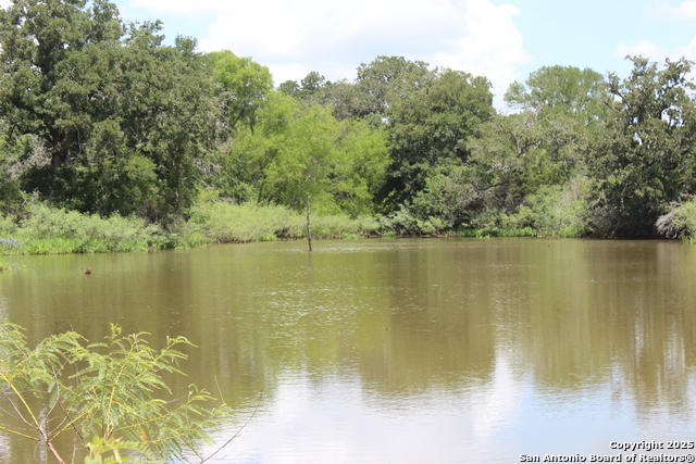 Listing photo id 25 for 0 County Rd 240