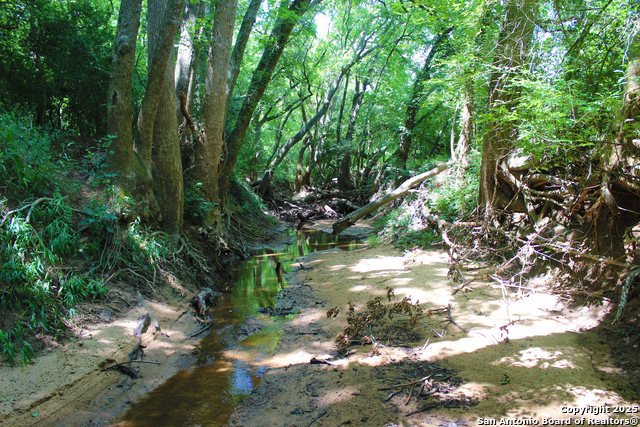 Listing photo id 28 for 0 County Rd 240