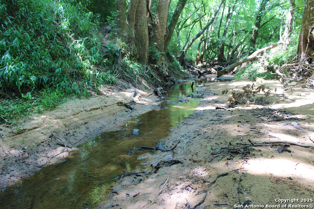 Listing photo id 29 for 0 County Rd 240