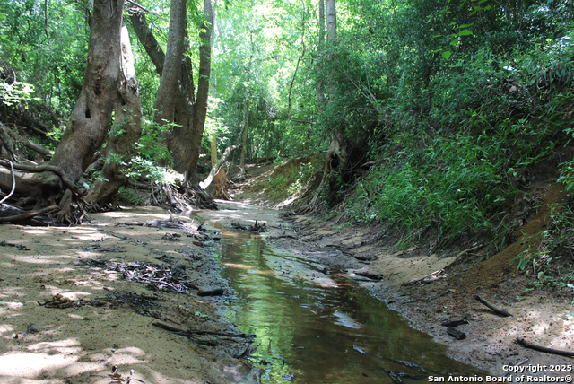 Listing photo id 30 for 0 County Rd 240