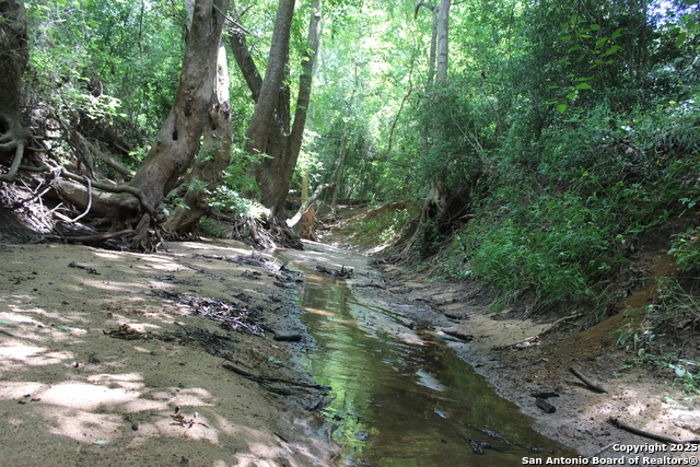 Listing photo id 31 for 0 County Rd 240