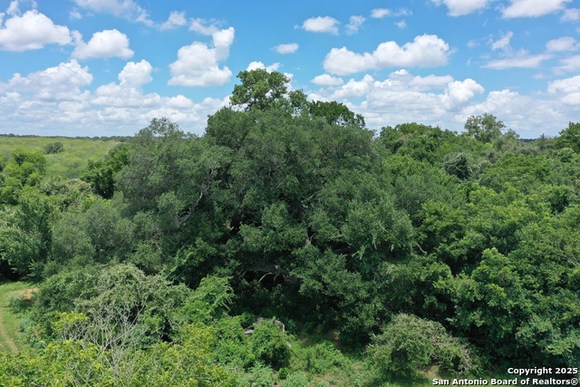 Listing photo id 5 for 0 County Rd 240