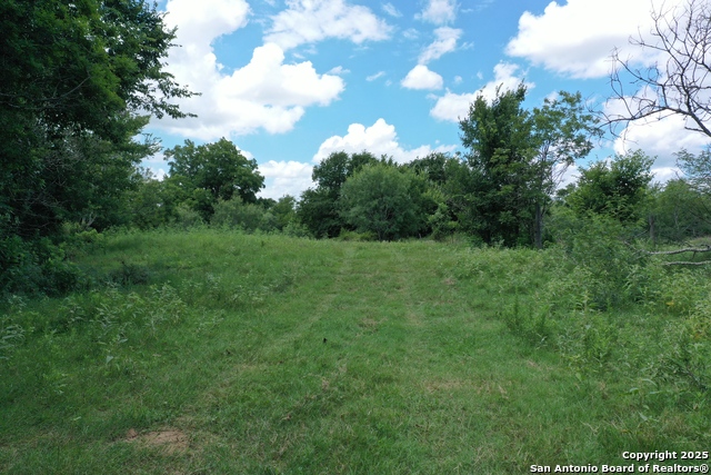 Listing photo id 6 for 0 County Rd 240