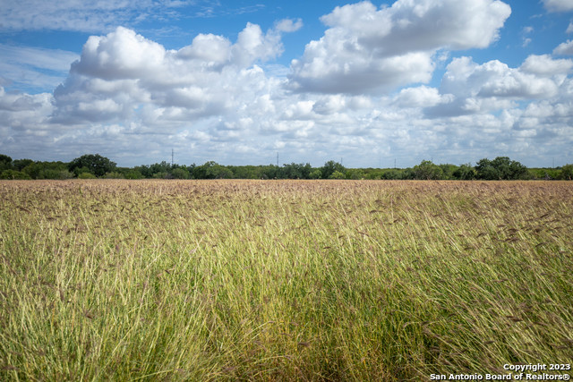 Image 13 of 25 For 546 Pr Goose Creek Ln