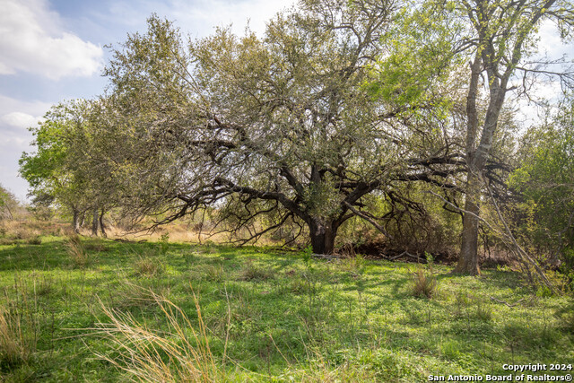 Image 14 of 25 For 546 Pr Goose Creek Ln