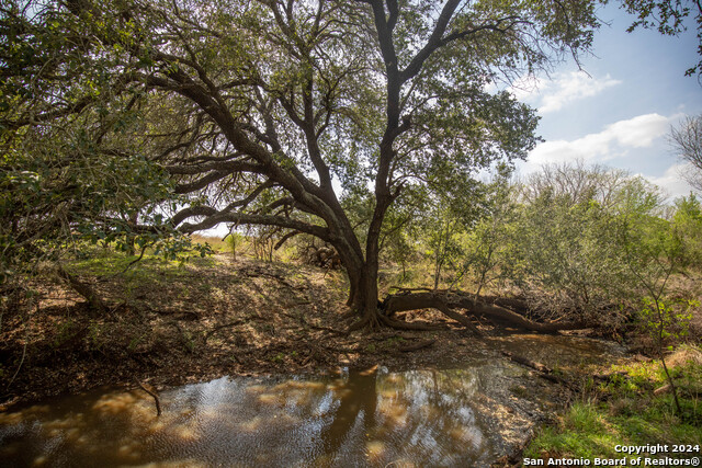 Image 15 of 25 For 546 Pr Goose Creek Ln