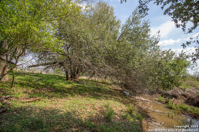 Image 16 of 25 For 546 Pr Goose Creek Ln