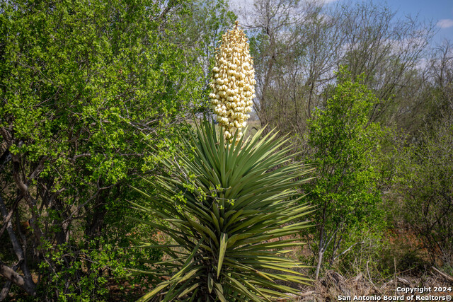 Image 17 of 25 For 546 Pr Goose Creek Ln