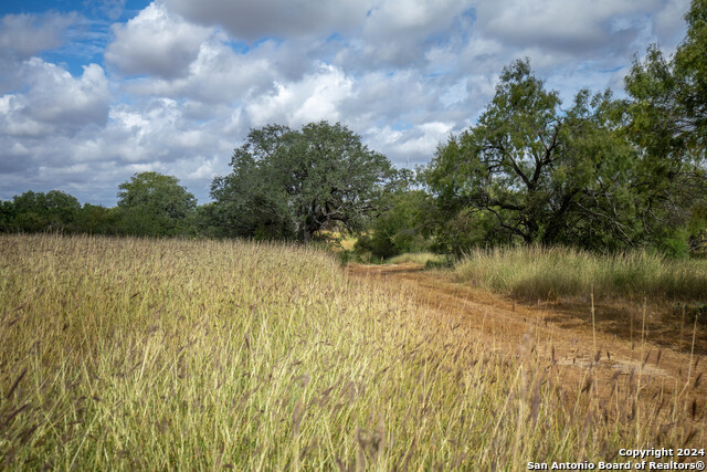 Image 19 of 25 For 546 Pr Goose Creek Ln